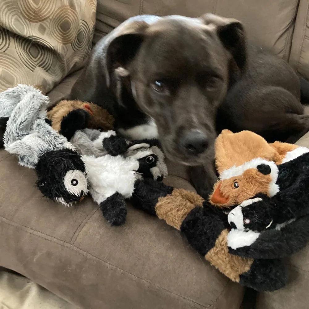 No-Stuffing Dog Squeaky Toy